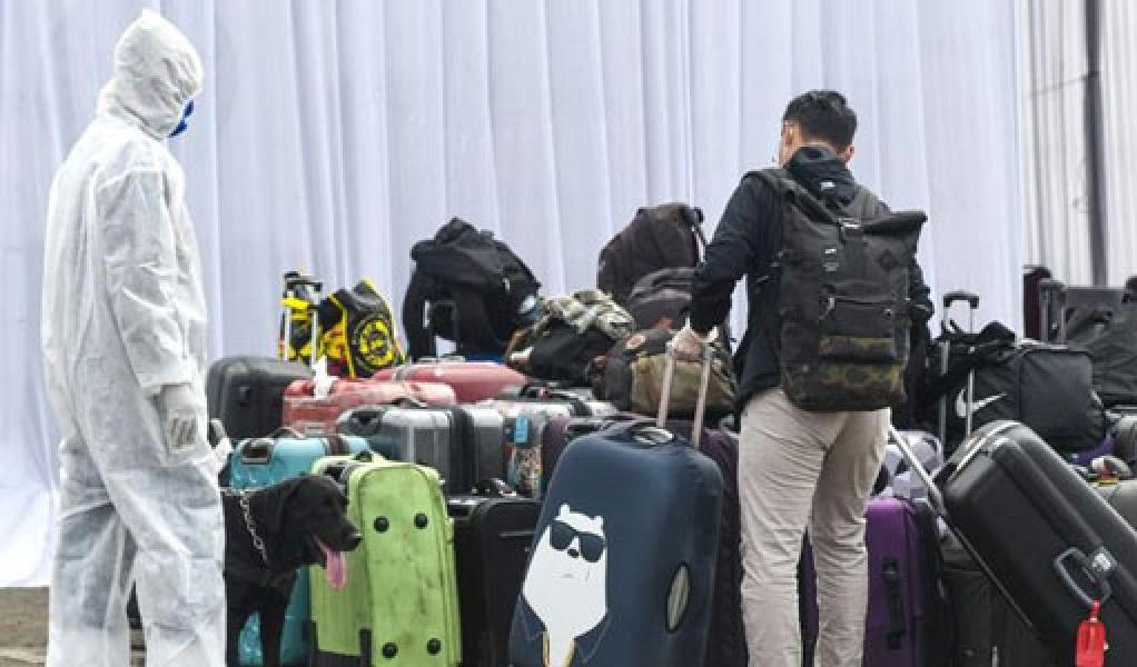 WNI Dideportasi dari Korsel karena Langgar Karantina Corona