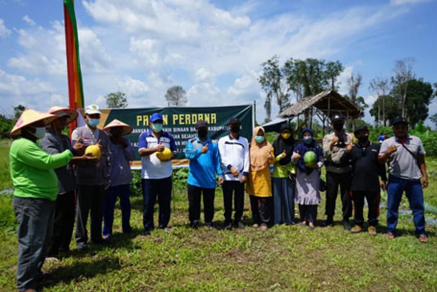 Dongkrak Ekonomi Masyarakat Melalui UMKM, Baznas Siak Gandeng Pemkab