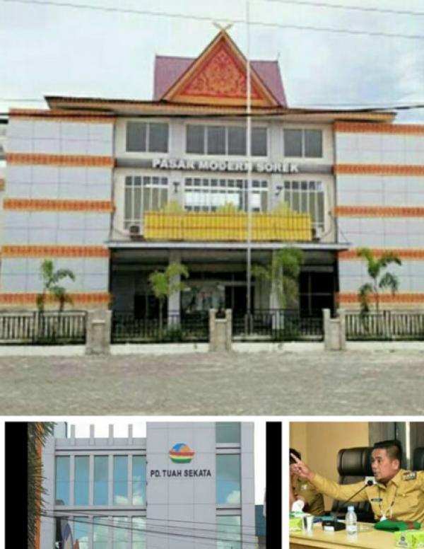 Terbengkalai Bertahun-tahun, Bupati Zukri Minta BUMD Tuah Sekata Siapkan Bisnis Plan Pasar Modern Sorek 