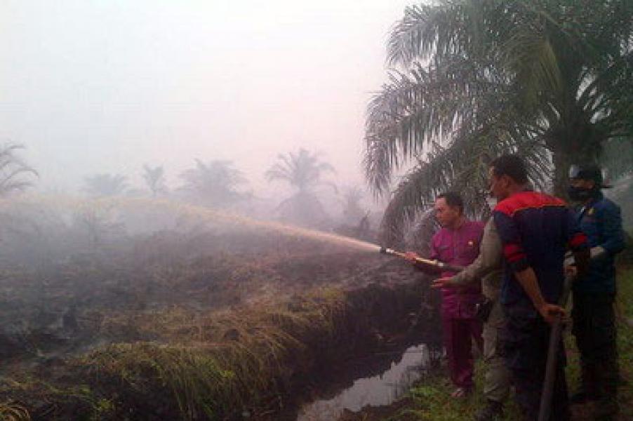 98 Ha Kebun Sawit di Buluh Nipis Dilalap Api