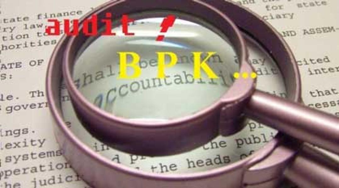 Aktifis PETA Sebut BPK dan Inspektorat Tak Berperan di Inhu