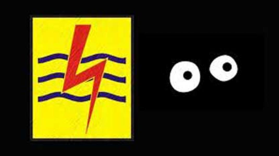 Bupati Bosan Lihat Tingkah PLN Selatpanjang