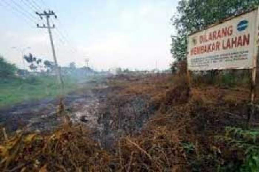 Lagi, Wabup Siak Imbau Masyarakat Tak Bakar Lahan