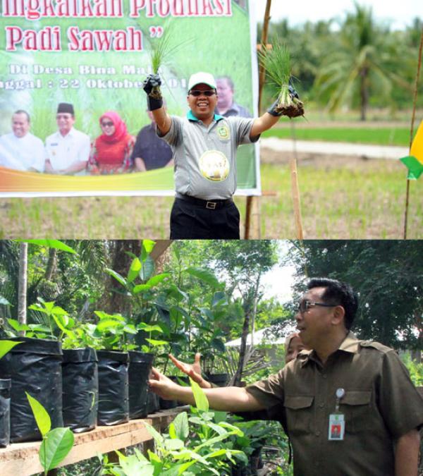 Membangun Ketahanan Pangan di Meranti