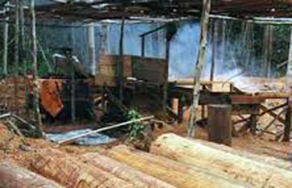 Polsek Pangkalan Kerinci Temukan Sawnmill Tak Bertuan di Kanal RAPP