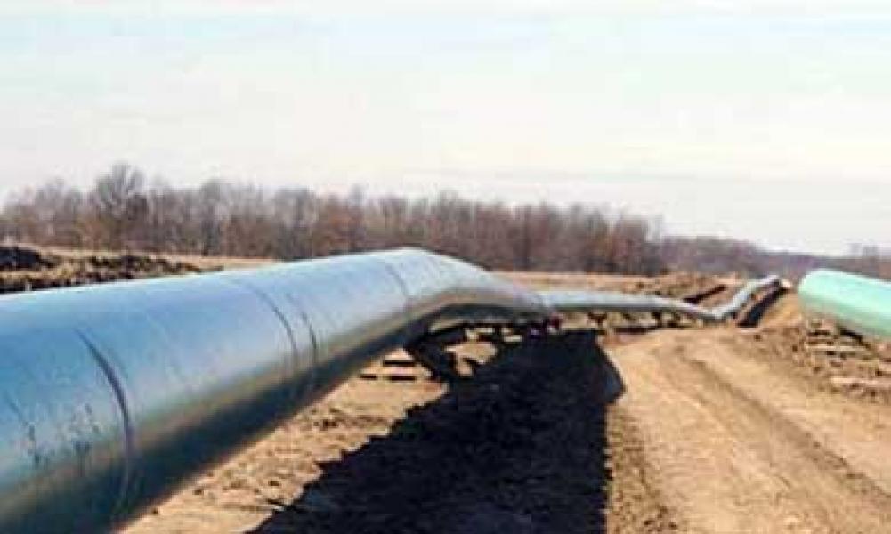 Program Penghijauan PT. EMP Kondur Petrolium Tak Jelas