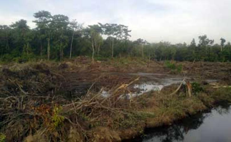 Proyek Cetak Sawah Desa Pulau Sengkilo Tak Capai Target