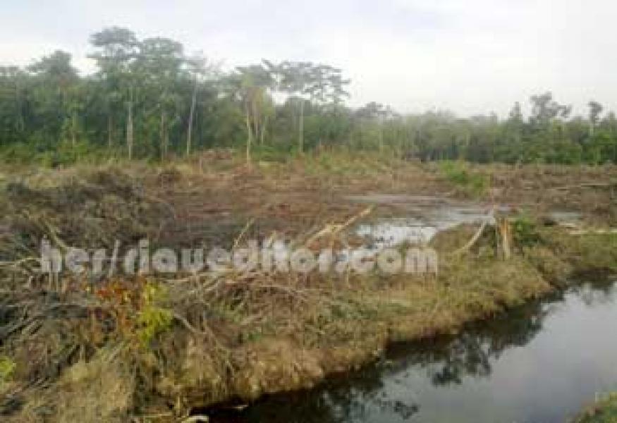 Proyek Cetak Sawah di Kelayang Diduga jadi Ladang Korupsi
