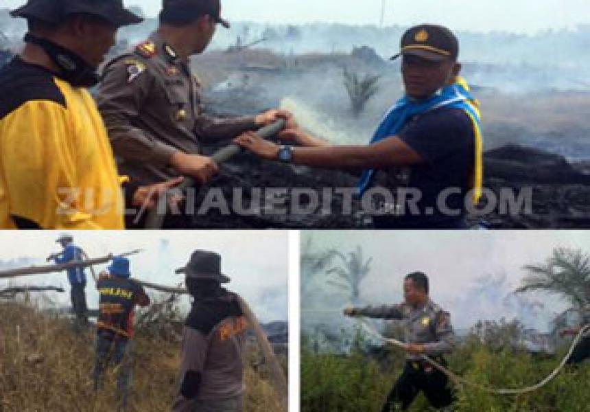 100 Hektar Lahan di Kerumutan Terbakar, Ratusan Personil Gabungan Dikerahkan