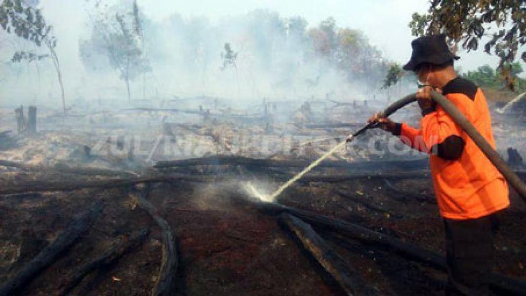 30 Hektar Kebun dan Semak Belukar Terbakar di Bandar Seikijang