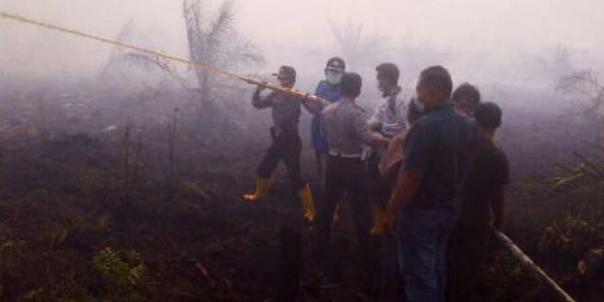 Kemarau, 8 Hektar Kebun Karet di Kuala Cenaku Hangus Terbakar