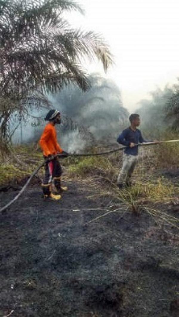 BPBPKD Padamkan Karhutla di Pelalawan, DPRD Apresiasi