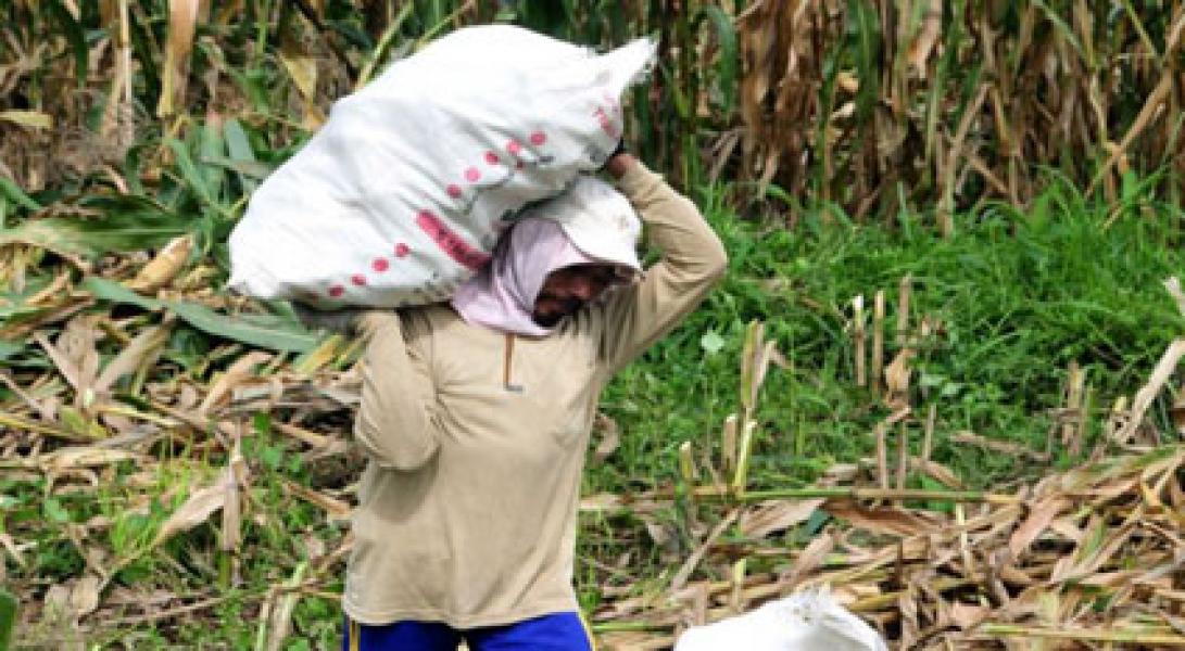 Daftar Gaji Petani, PRT hingga Tukang Potong Rambut