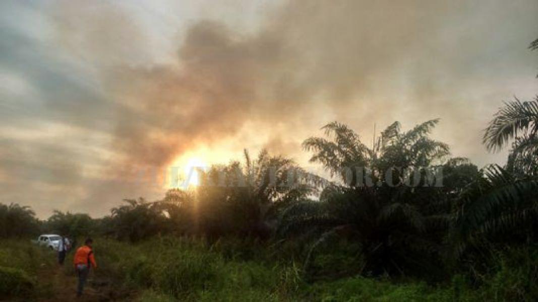 Kedatangan Mantan Panglima TNI ke RAPP Disambut Karhutla