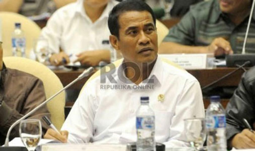 Mentan: Indonesia Pengimpor Beras Tertinggi di Asia