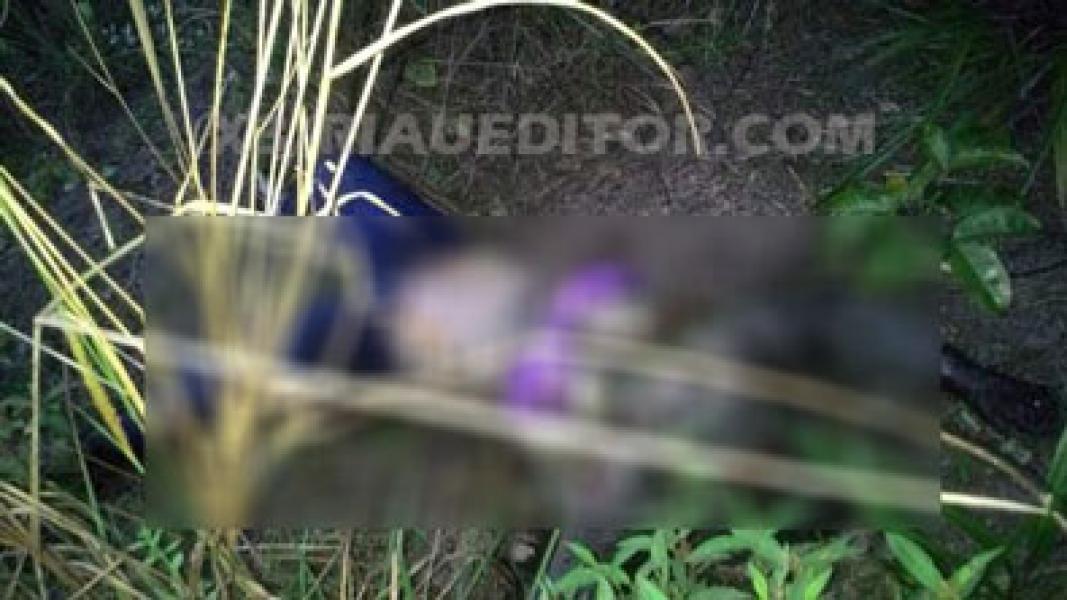Warga Simpang Baru Tampan, Temukan Mayat Wanita Tanpa Identitas