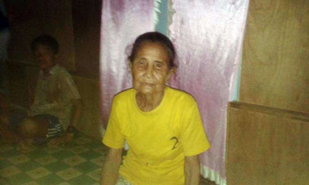 Api Hanguskan Rumah Seorang Nenek Renta di Kuala Cenaku