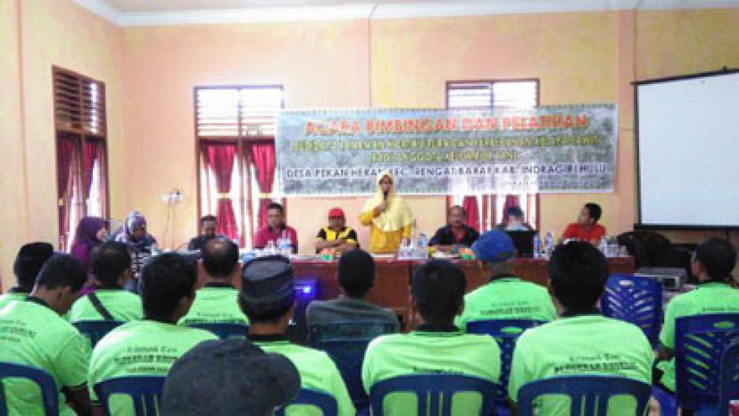 Camat Rengat Barat Buka Bimbingan dan Pelatihan Budidaya Tanaman di Desa Pekan Heran
