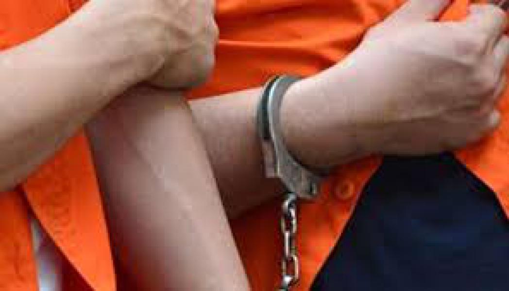 Empat Pelaku Pencuri Sarang Burung Walet di Bekuk Polisi