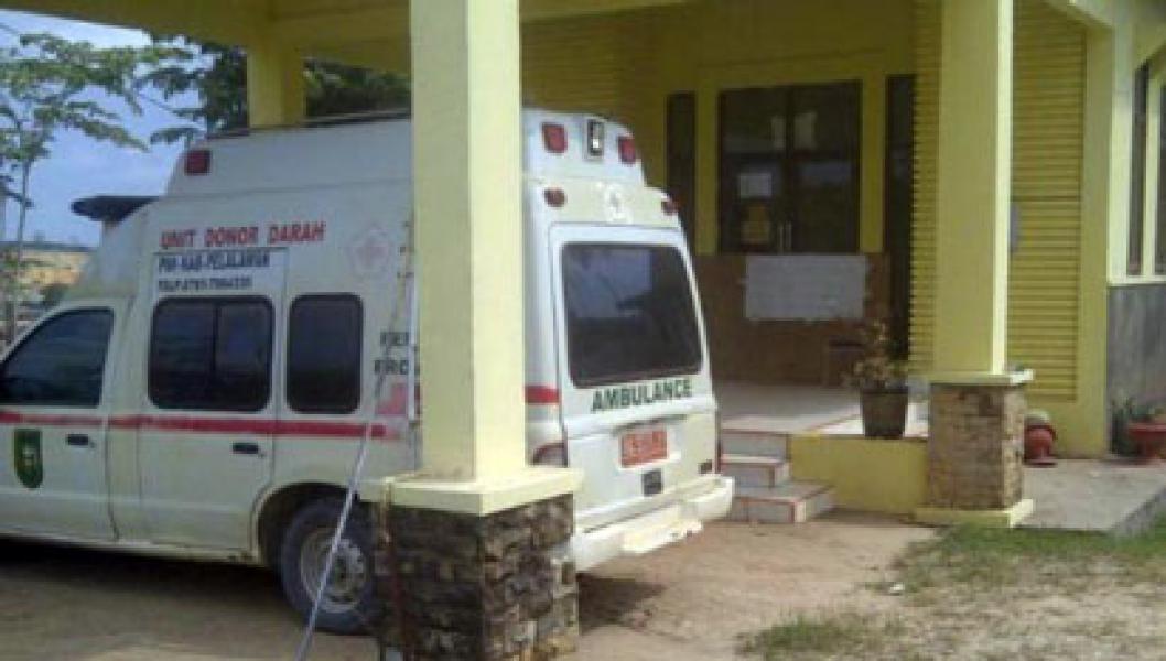 Harap Bersabar, PMI Pelalawan Kehabisan Stok Darah dan Stok Kantong Darah