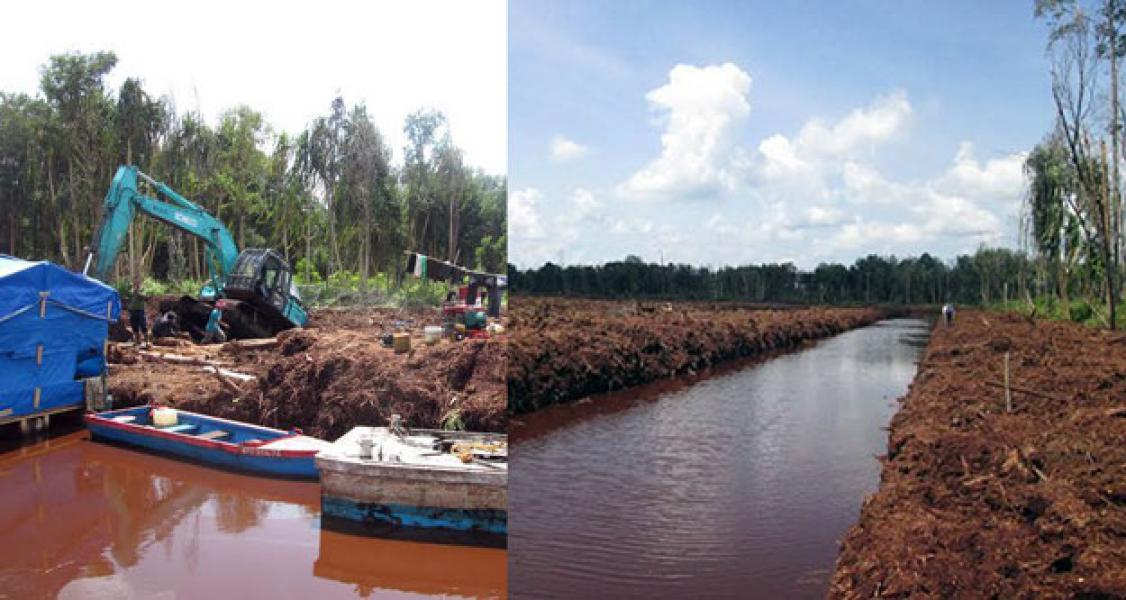 Kembali, RAPP Rusak Ekosistim Hutan dan Bentangan Gambut Pulau Padang