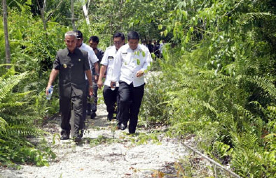 Wabup Said Hasyim Tinjau Lahan Taman Teknologi Pertanian (TTP) Di Desa Tanjung
