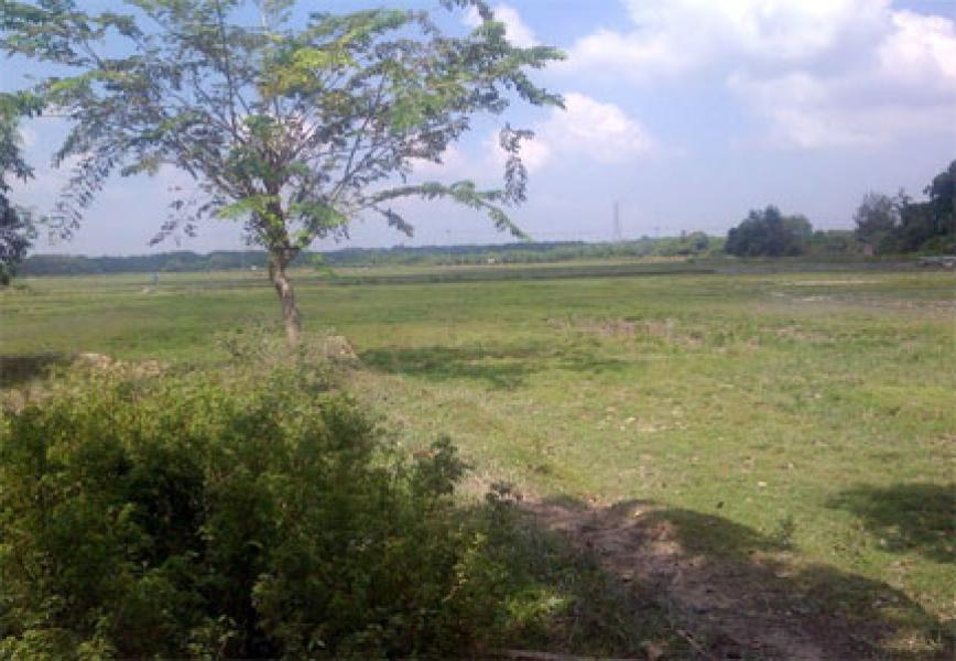 Besok, Bupati Kampar Canangkan Pengolahan Areal Persawahan Menggunakan Mekanisasi Pertanian