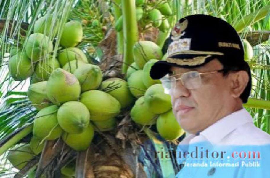 Bupati Wardan Dinilai Berhasil Selamatkan Kebun Kelapa Inhil