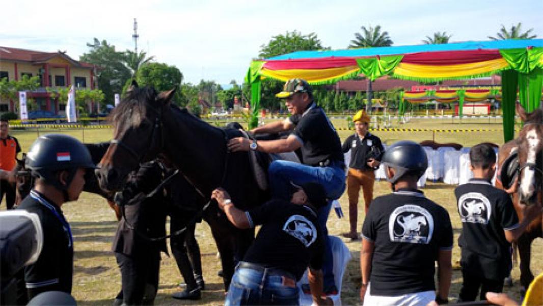 Kapolda Riau Buka Lomba Berkuda Equestrian Show Jumping Kapolda Cup 2017