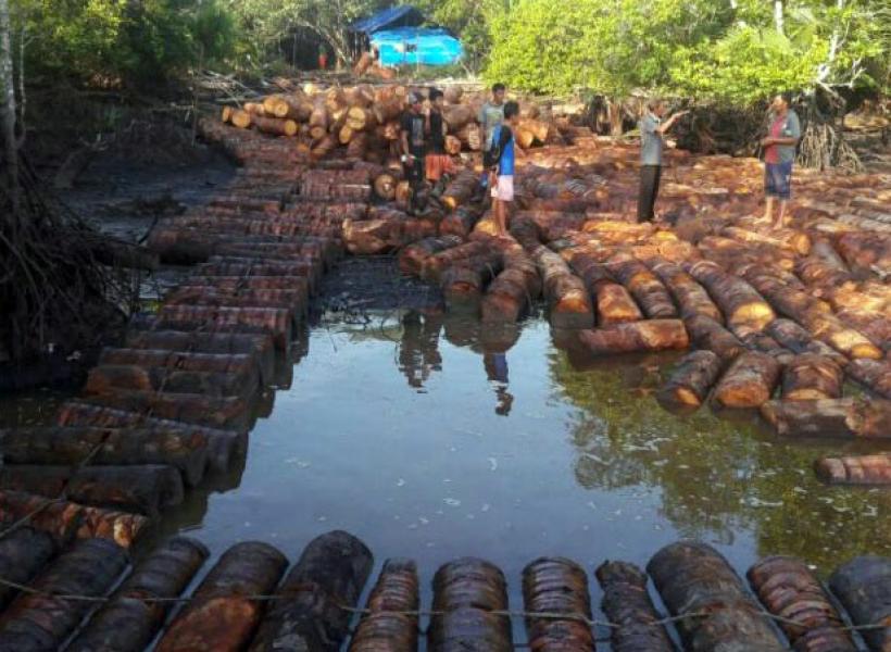 Pekerja Kilang Sagu Diduga Hilang Diterkam Buaya