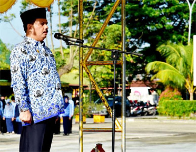 Sekda Inhil Said Syarifuddin Pimpin Upacara HKN Tahun 2017 