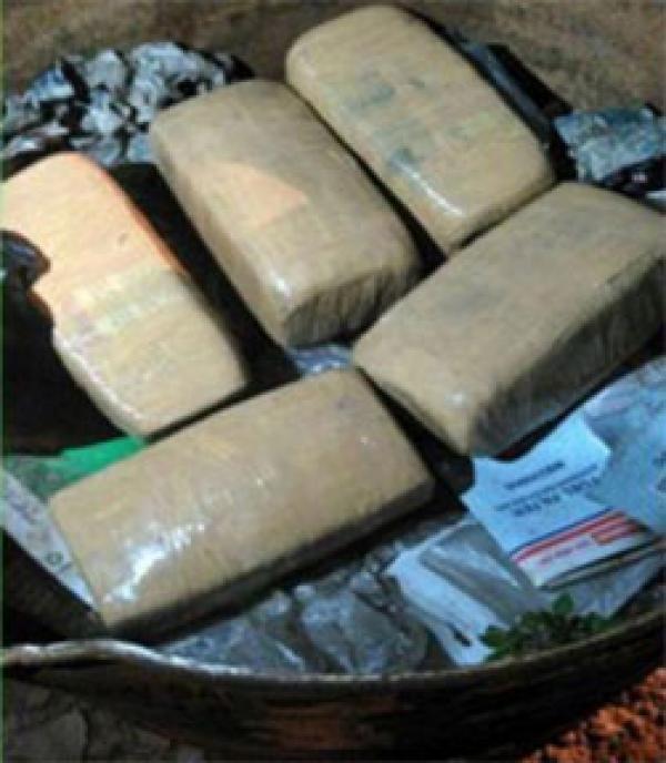 Warga Lapor Temukan 5 Kg Ganja di Tong Sampah