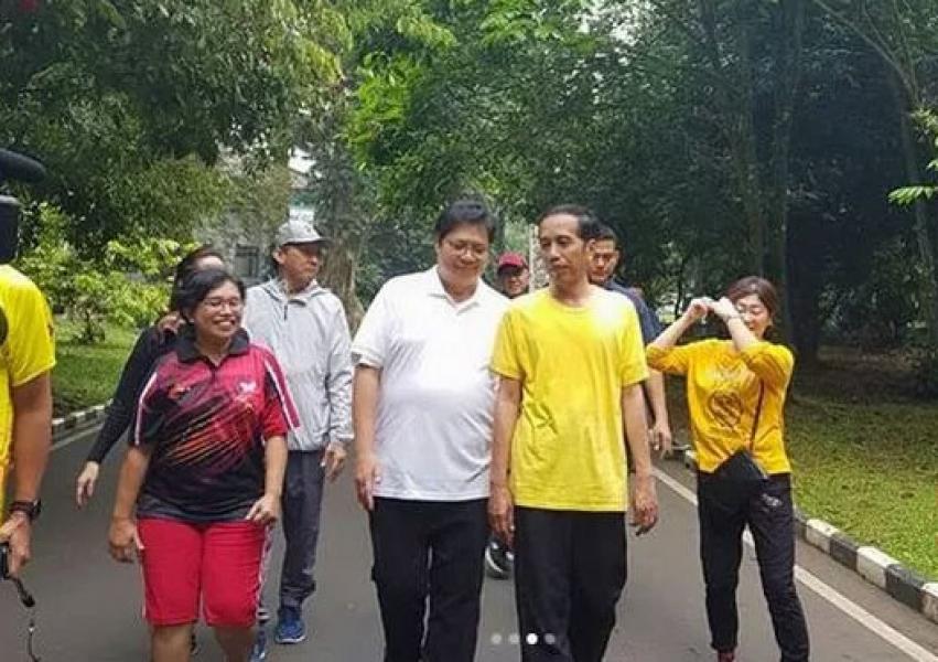 Airlangga Dinilai Punya Modal Kuat Jadi Cawapres Jokowi