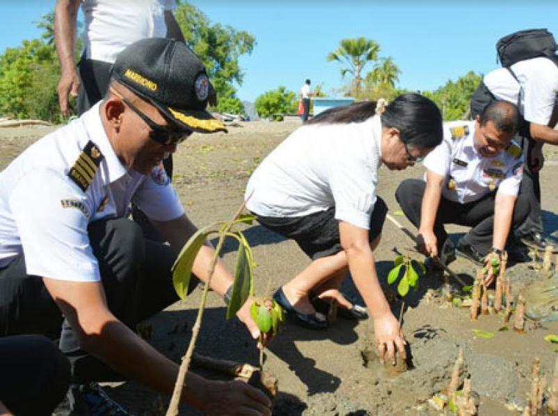 Bakamla Tanam Mangrove di Perbatasan Indonesia-Timor Leste