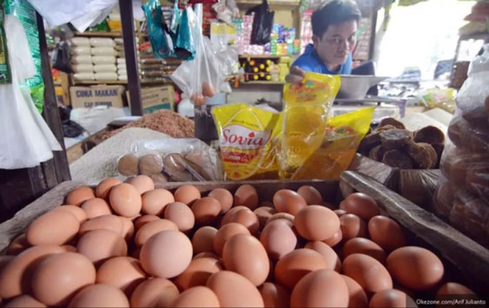 Harga Telur Ayam Meroket, Ini Fakta Menariknya
