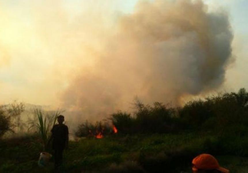 Lagi, Empat Hotspot Terdeteksi di Riau