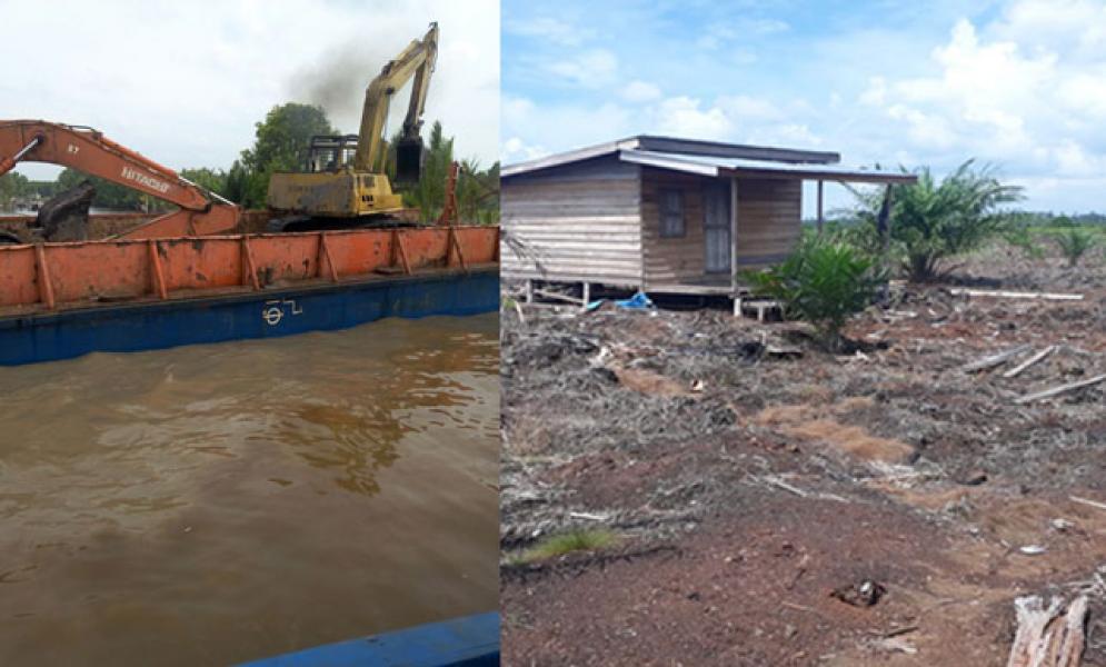 Rambah Areal HPH PT Diamond Raya Timber, Polhut Riau Tangkap 2 Unit Ekskavator      