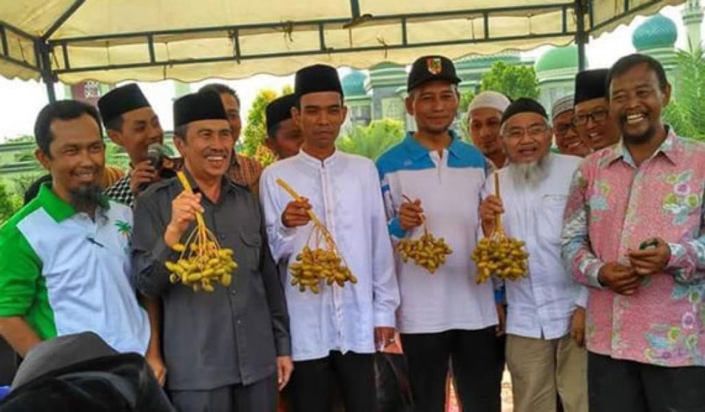 Ustadz Somad dan Syamsuar Panen Kurma Bersama IDPA Riau