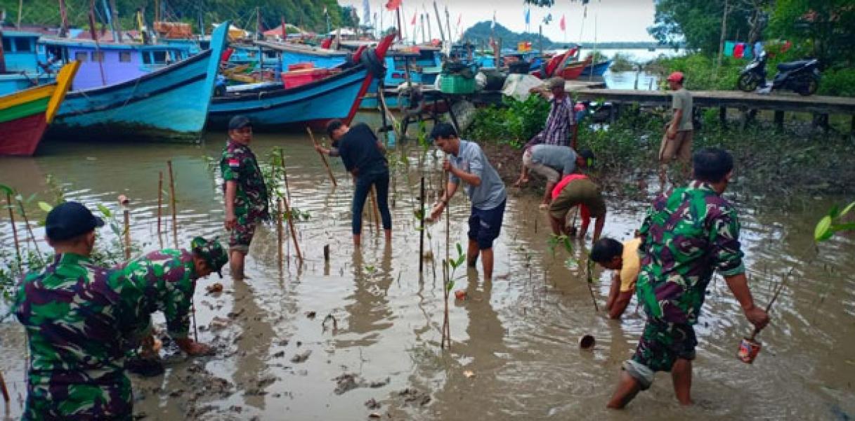 Cegah Abrasi, Bakamla Sambas dan Posmat TNI AL Pemangkat Tanam Mangrove