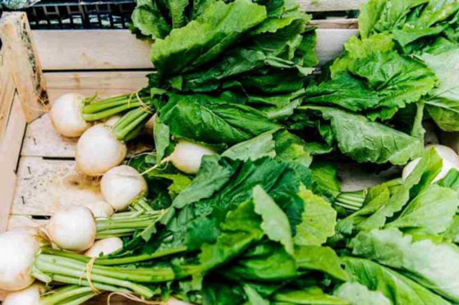 Lobak Mampu Redakan Nyeri Asam Urat?