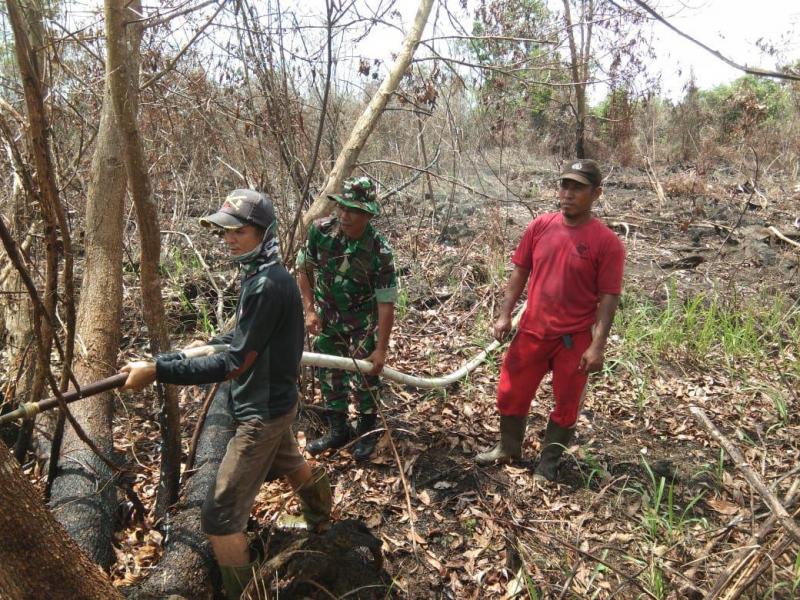 Support TMMD ke 105 Kodim 0313/KPR, Danramil 03/Bunut Lakukan Pendinginan Bekas Karhutla