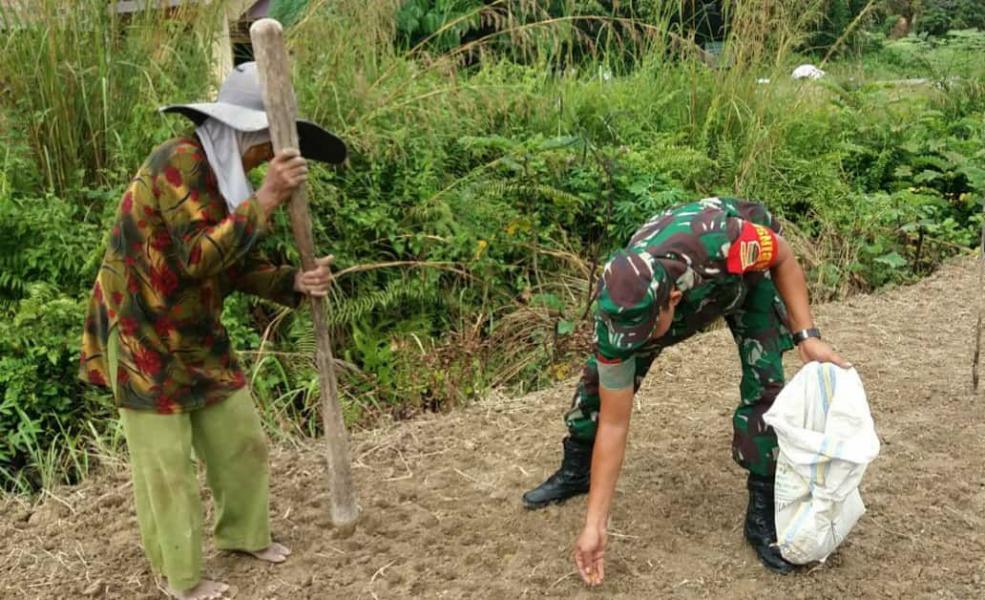 TMMD ke 105 Kodim 0313/KPR, Babinsa Koramil 07 Kampar Turun ke Sawah