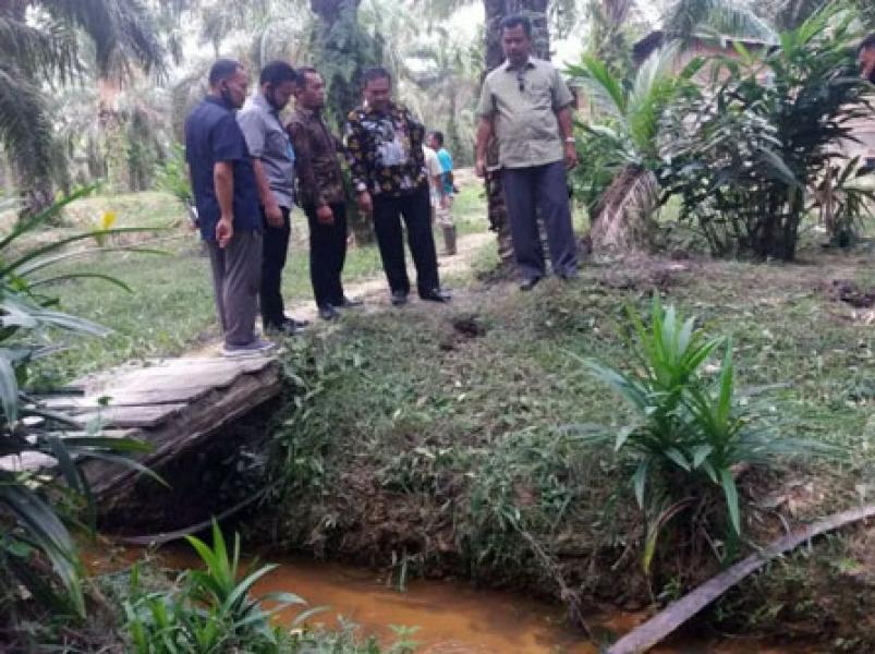 Diduga Tercemar Limbah PT Chevron, DPRD Siak Tinjau Lahan Warga