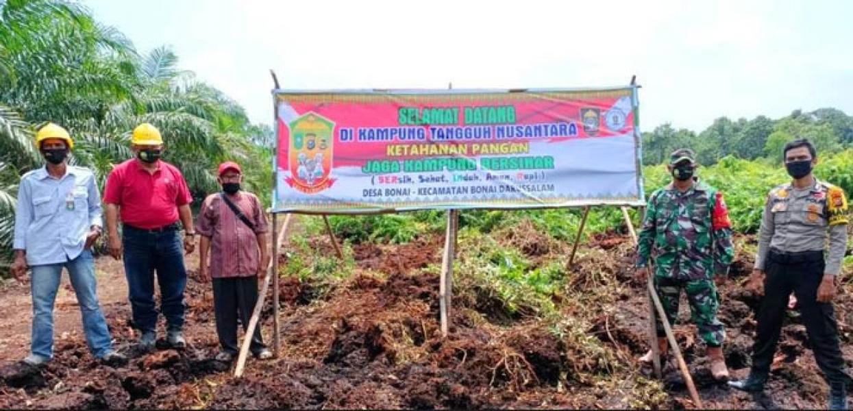 Dukung Ketahanan Pangan, PT BDB Bantu Olah Lahan 4 Hektar di Desa Bonai Rohul