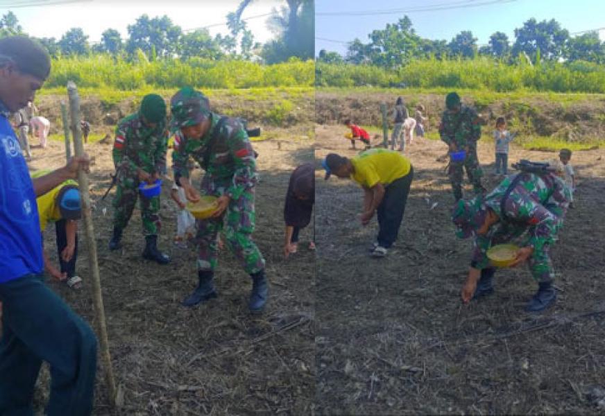 Dukung Ketahanan Pangan, Satgas 754 Kostrad Bantu Warga Menanam Padi Gogo