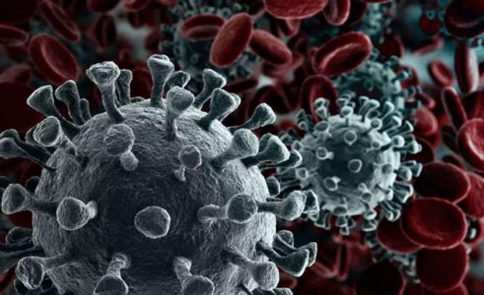Hati-Hati, Virus Corona Bisa Terbang 4 Jam di Dalam Ruangan