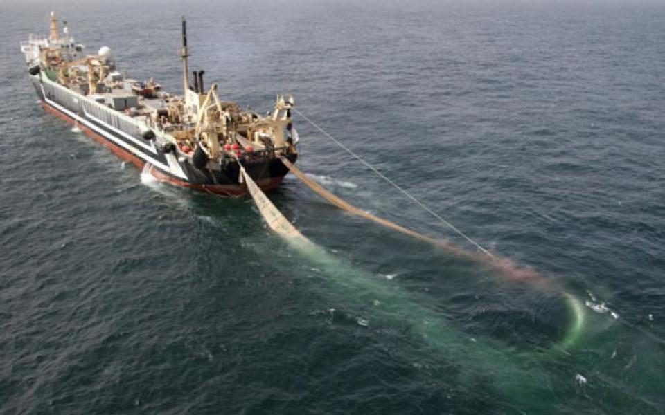 Ilegal Fishing Masih Beroperasi di Perairan Riau