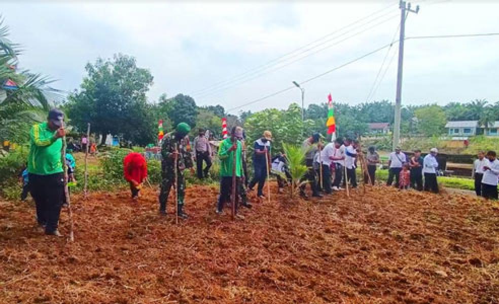 Jaga Stabilitas Pangan Saat Pandemi, Ini yang Dilakukan Polsek Rambah Bersama Koramil 02