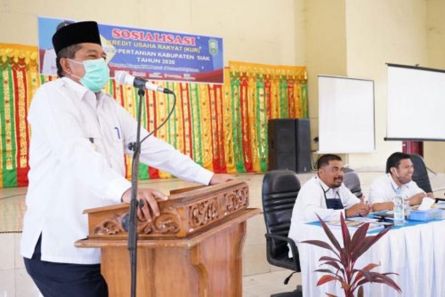 Tingkatkan Produksi Pertanian, Bupati Alfedri Ingin Petani Manfaatkan KUR