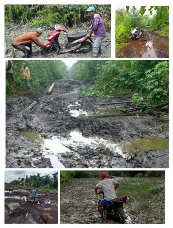 Warga Pesisir Pelalawan Minta Gubri Tak Pangkas Anggaran Jalan Lintas Bono